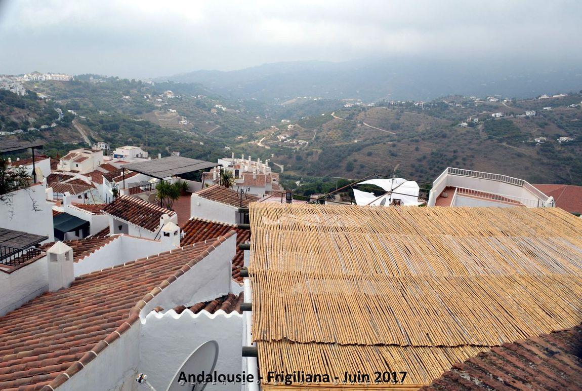 571 - Frigiliana.JPG